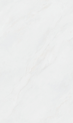 QC813606L 芙尼丝绸